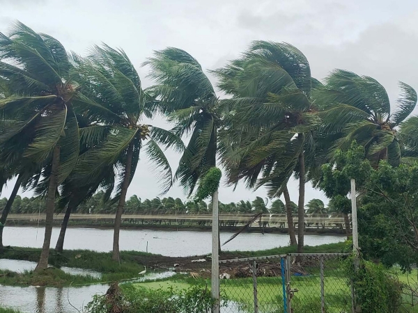 ਪ੍ਰਤੀਕਾਤਮਕ ਫੋਟੋ ਪ੍ਰਤੀਕਾਤਮਕ ਫੋਟੋ