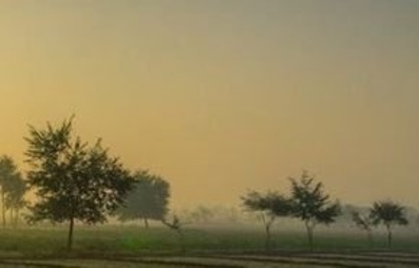 ਪੰਜਾਬ ’ਚ ਤਾਪਮਾਨ ’ਚ ਕਮੀ ਤੋਂ ਬਾਅਦ ਸਵੇਰ ਦਾ ਦ੍ਰਿਸ਼।