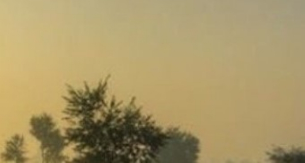 ਪੰਜਾਬ ’ਚ ਸਵੇਰ ਦਾ ਦ੍ਰਿਸ਼। ਪੰਜਾਬ ’ਚ ਸਵੇਰ ਦਾ ਦ੍ਰਿਸ਼।