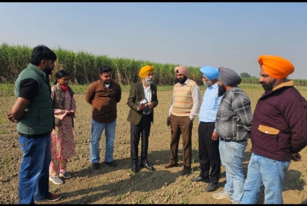 ਬਟਾਲਾ ਸਹਿਕਾਰੀ ਖੰਡ ਮਿੱਲ ਜ਼ਿਲਾ ਗੁਰਦਾਸਪੁਰ ਦੇ ਅਧਿਕਾਰਤ ਖੇਤਰ ਵਿਚ ਲਗਾਏ ਪ੍ਰਦਰਸ਼ਨੀ ਪਲਾਟਾਂ ਦਾ ਜਾਇਜ਼ਾ ਲੈਣ ਲਈ ਕੇਨ ਕਮਿਸ਼ਨਰ ਪੰਜਾਬ ਡਾ. ਅਮਰੀਕ ਸਿੰਘ। ਬਟਾਲਾ ਸਹਿਕਾਰੀ ਖੰਡ ਮਿੱਲ ਜ਼ਿਲਾ ਗੁਰਦਾਸਪੁਰ ਦੇ ਅਧਿਕਾਰਤ ਖੇਤਰ ਵਿਚ ਲਗਾਏ ਪ੍ਰਦਰਸ਼ਨੀ ਪਲਾਟਾਂ ਦਾ ਜਾਇਜ਼ਾ ਲੈਣ ਲਈ ਕੇਨ ਕਮਿਸ਼ਨਰ ਪੰਜਾਬ ਡਾ. ਅਮਰੀਕ ਸਿੰਘ।