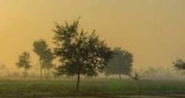 ਪੰਜਾਬ ’ਚ ਸਵੇਰ ਸਮੇਂ ਮੌਸਮ ਦਾ ਦ੍ਰਿਸ਼। ਪੰਜਾਬ ’ਚ ਸਵੇਰ ਸਮੇਂ ਮੌਸਮ ਦਾ ਦ੍ਰਿਸ਼।