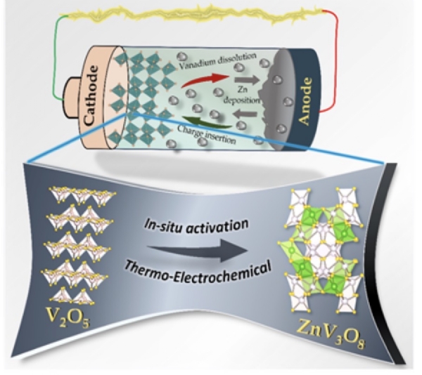 ਜ਼ਿੰਕ ਆਇਨ ਬੈਟਰੀਆਂ ਦਾ ਮਾਡਲ