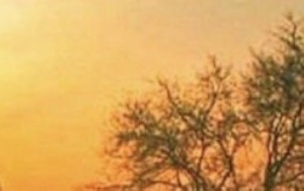 ਪੰਜਾਬ ’ਚ ਸਵੇਰ ਸਮੇਂ ਦਾ ਦ੍ਰਿਸ਼।