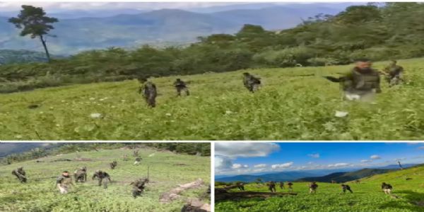 ਮਣੀਪੁਰ ਵਿੱਚ 65 ਏਕੜ ਗੈਰ-ਕਾਨੂੰਨੀ ਅਫੀਮ ਦੀ ਖੇਤੀ ਕੀਤੀ ਗਈ ਤਬਾਹ