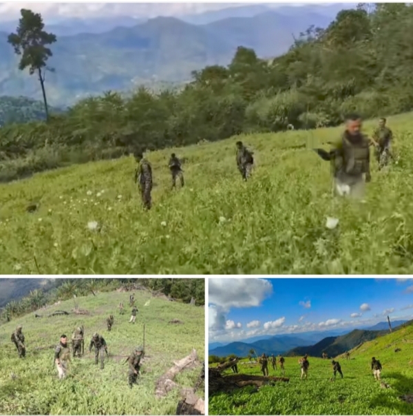 ਮਣੀਪੁਰ ਪੁਲਿਸ ਵੱਲੋਂ ਅਫੀਮ ਦੀ ਖੇਤੀ ਨੂੰ ਨਸ਼ਟ ਕਰਨ ਦੀ ਤਸਵੀਰ।