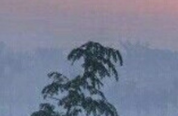 ਪੰਜਾਬ ’ਚ ਮੌਸਮ ਦਾ ਦ੍ਰਿਸ਼। ਪੰਜਾਬ ’ਚ ਮੌਸਮ ਦਾ ਦ੍ਰਿਸ਼।