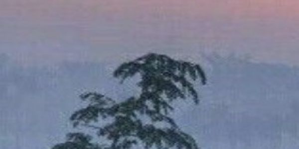 ਪੰਜਾਬ ਅਤੇ ਚੰਡੀਗੜ੍ਹ ’ਚ ਮੌਸਮ ਰਹੇਗਾ ਖੁਸ਼ਕ