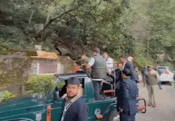 ਪਚਮੜੀ ਵਿੱਚ ਜੰਗਲ ਸਫਾਰੀ ਪਚਮੜੀ ਵਿੱਚ ਜੰਗਲ ਸਫਾਰੀ