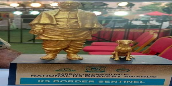 ਬੀਐਸਐਫ ਨੇ ਕੀਤਾ ਬਬੀਤਾ ਦੀ ਬੁੱਧੀ ਨੂੰ ਸਲਾਮ, ਮਿਲਿਆ ਕੇ-9 ਅਵਾਰਡ