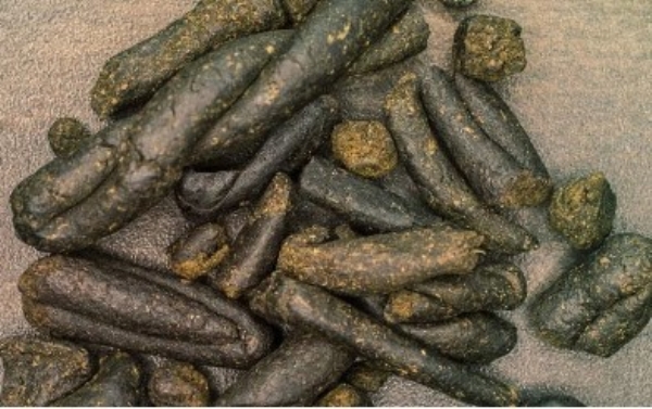 ਪ੍ਰਤੀਕਾਤਮਕ। ਪ੍ਰਤੀਕਾਤਮਕ।