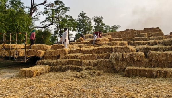 ਕਿਸਾਨ ਵਲੋਂ ਪਰਾਲੀ ਦੀਆ ਬਣਾਈਆ ਗੱਠਾਂ ਦਾ ਦ੍ਰਿਸ਼। ਕਿਸਾਨ ਵਲੋਂ ਪਰਾਲੀ ਦੀਆ ਬਣਾਈਆ ਗੱਠਾਂ ਦਾ ਦ੍ਰਿਸ਼।