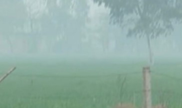 ਪੰਜਾਬ ’ਚ ਸਵੇਰ ਸਮੇਂ ਪਈ ਧੁੰਦ ਦਾ ਦ੍ਰਿਸ਼। ਪੰਜਾਬ ’ਚ ਸਵੇਰ ਸਮੇਂ ਪਈ ਧੁੰਦ ਦਾ ਦ੍ਰਿਸ਼।