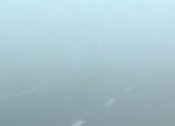 ਸੰਘਣੀ ਧੁੰਦ ਦਾ ਦ੍ਰਿਸ਼। ਸੰਘਣੀ ਧੁੰਦ ਦਾ ਦ੍ਰਿਸ਼।