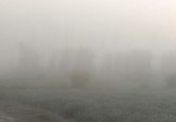 ਪੰਜਾਬ ’ਚ ਸਵੇਰ ਸਮੇਂ ਪਈ ਧੁੰਦ ਦਾ ਦ੍ਰਿਸ਼।