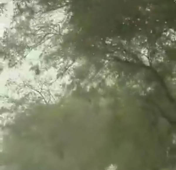 ਪ੍ਰਤੀਕਾਤਮਕ ਪ੍ਰਤੀਕਾਤਮਕ