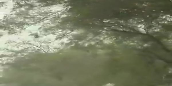 ਉੱਤਰ ਪ੍ਰਦੇਸ਼ ਦਾ ਨੋਇਡਾ ਲਗਾਤਾਰ ਤੀਜੇ ਦਿਨ ਦੇਸ਼ ਦਾ ਸਭ ਤੋਂ ਪ੍ਰਦੂਸ਼ਿਤ ਸ਼ਹਿਰ ਰਿਹਾ