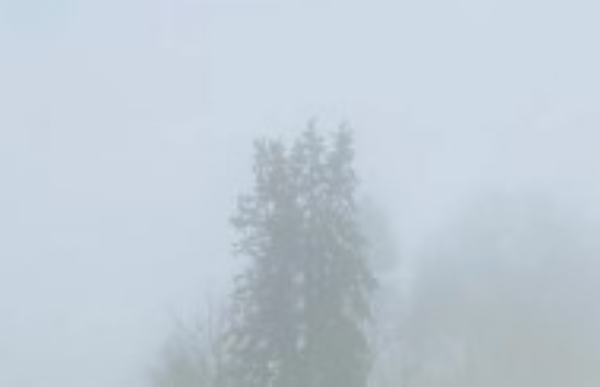 ਸਵੇਰ ਸਮੇਂ ਪਈ ਧੁੰਦ ਦਾ ਦ੍ਰਿਸ਼।