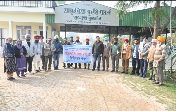 ਕ੍ਰਿਸ਼ੀ ਵਿਗਿਆਨ ਕੇਂਦਰ ਮੋਹਾਲੀ ਵੱਲੋਂ ਕਰਵਾਏ ਸੀ.ਆਰ.ਪੀ. ਅਤੇ ਕ੍ਰਿਸ਼ੀ ਸਖੀਆਂ ਲਈ ਕੁਦਰਤੀ ਖੇਤੀ ‘ਤੇ ਪੰਜ ਰੋਜ਼ਾ ਸਿਖਲਾਈ ਕੋਰਸ ਦਾ ਦ੍ਰਿਸ਼.