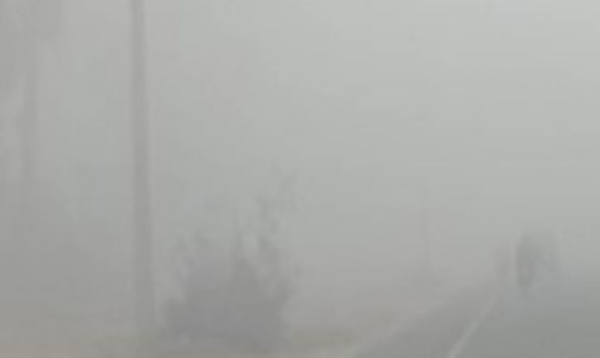 ਪੰਜਾਬ ’ਚ ਪਈ ਸੰਘਣੀ ਧੁੰਦ ਦਾ ਦ੍ਰਿਸ਼। ਪੰਜਾਬ ’ਚ ਪਈ ਸੰਘਣੀ ਧੁੰਦ ਦਾ ਦ੍ਰਿਸ਼।