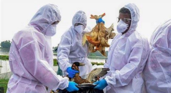 ਪ੍ਰਤੀਕਾਤਮਕ