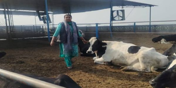 ਜੋਧਪੁਰ ਦੀ 27 ਸਾਲਾ ਅਮਨਦੀਪ ਕੌਰ ਨੇ ਮਿਹਨਤ ਨਾਲ ਦੁੱਧ ਕਾਰੋਬਾਰ ‘ਚ ਸਿਰਜੀ ਕਾਮਯਾਬੀ ਦੀ ਕਹਾਣੀ