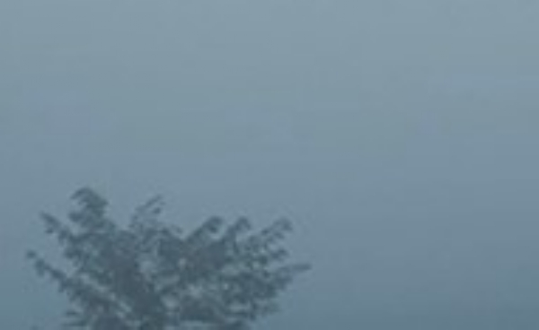 ਸਵੇਰ ਸਮੇਂ ਪੰਜਾਬ ’ਚ ਪਈ ਸੰਘਣੀ ਧੁੰਦ ਦਾ ਦ੍ਰਿਸ਼।