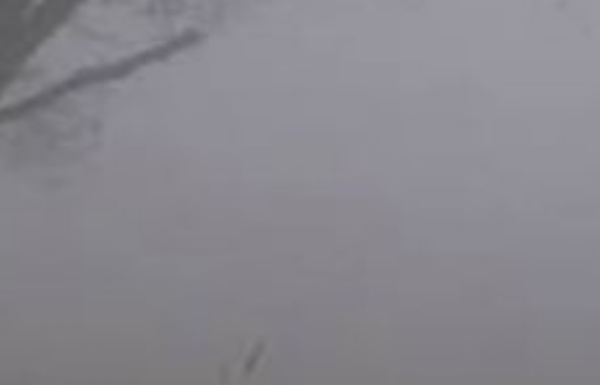 ਪੰਜਾਬ ’ਚ ਪਈ ਧੂੰਦ ਦਾ ਦ੍ਰਿਸ਼।