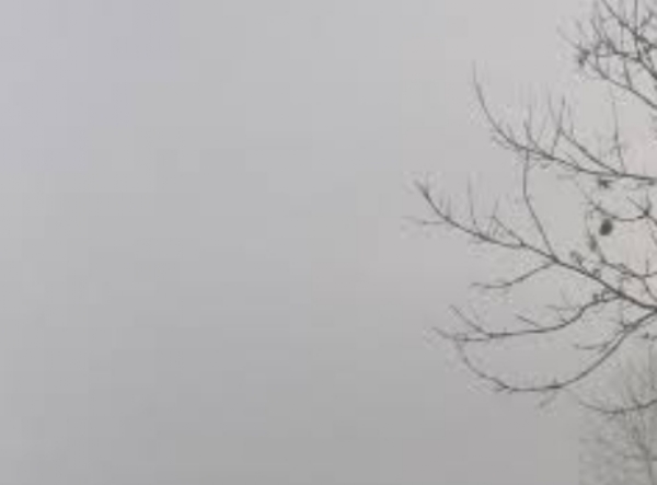 ਸੰਘਣੀ ਧੁੰਦ ਦਾ ਦ੍ਰਿਸ਼. ਸੰਘਣੀ ਧੁੰਦ ਦਾ ਦ੍ਰਿਸ਼.