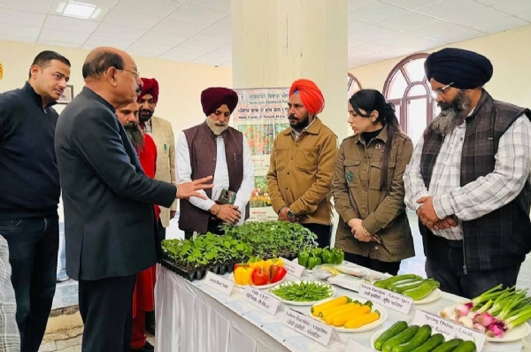 ਬਾਗਬਾਨੀ ਵਿਭਾਗ ਦੁਆਰਾ ਆਯੋਜਿਤ ਰਾਜ ਪੱਧਰੀ ਸੈਮੀਨਾਰ-ਕਮ-ਪ੍ਰਦਰਸ਼ਨੀ ਦੌਰਾਨ ਮੰਤਰੀ ਮੋਹਿੰਦਰ ਭਗਤ ਬਾਗਬਾਨੀ ਵਿਭਾਗ ਦੁਆਰਾ ਆਯੋਜਿਤ ਰਾਜ ਪੱਧਰੀ ਸੈਮੀਨਾਰ-ਕਮ-ਪ੍ਰਦਰਸ਼ਨੀ ਦੌਰਾਨ ਮੰਤਰੀ ਮੋਹਿੰਦਰ ਭਗਤ