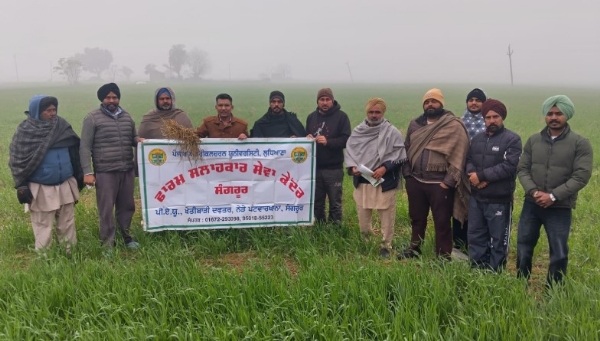 ਝੋਨੇ ਦੀ ਪਰਾਲੀ ਨੂੰ ਖੇਤ ਵਿੱਚ ਹੀ ਸੰਭਾਲ ਕਰਕੇ ਸਮਾਰਟ ਸੀਡਰ ਨਾਲ ਬੀਜੀ ਕਣਕ ਦਾ ਜਾਇਜਾ ਲੈਣ ਮੌਕੇ ਅਧਿਕਾਰੀ,