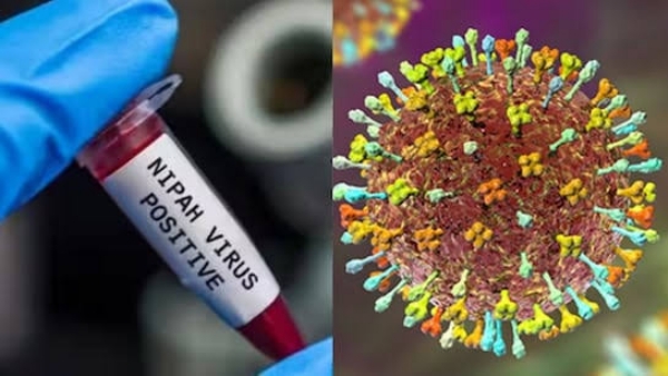 ਨਿਪਾਹ ਵਾਇਰਸ