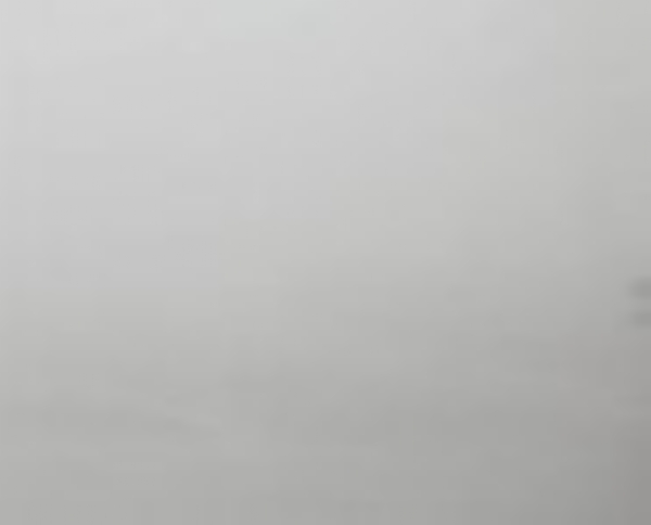 ਸੰਘਣੀ ਧੁੰਦ ਦਾ ਦ੍ਰਿਸ਼।