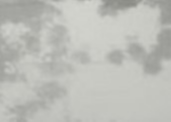 ਪੰਜਾਬ ’ਚ ਪਈ ਸੰਘਣੀ ਧੁੰਦ ਦਾ ਦ੍ਰਿਸ਼।