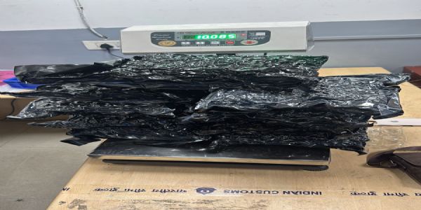 ਆਈਜੀਆਈ ਏਅਰਪੋਰਟ 