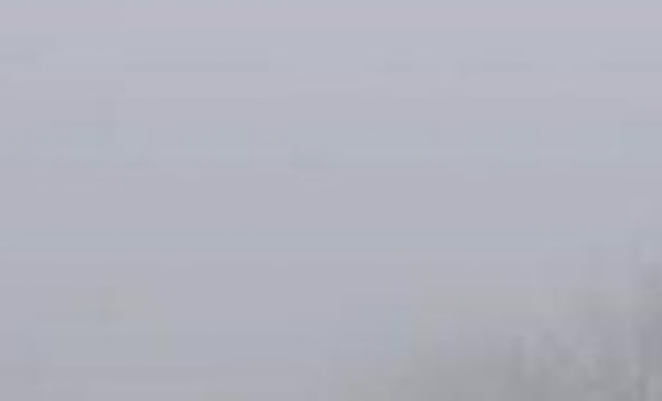 ਸੰਘਣੀ ਧੁੰ ਦਾ ਦ੍ਰਿਸ਼।