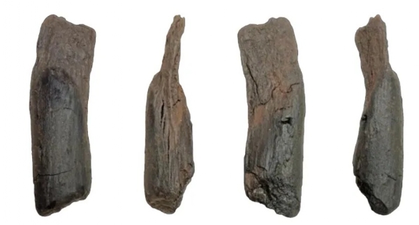 ਇਹ ਹਨ ਉਹ ਪੁਰਾਣੇ ਲੱਕੜ ਦੇ ਔਜ਼ਾਰ।