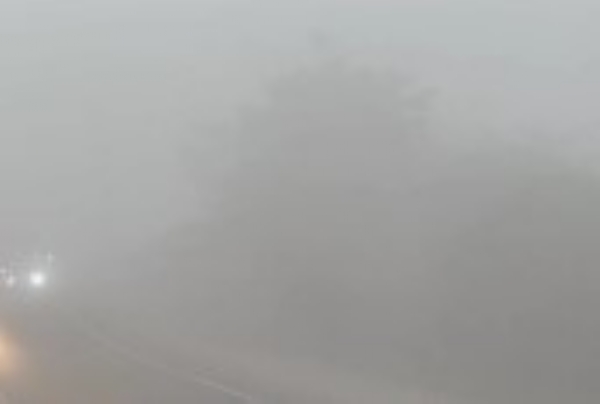 ਸਵੇਰ ਸਮੇਂ ਪਈ ਸੰਘਣੀ ਧੁੰਦ ਦਾ ਦ੍ਰਿਸ਼।