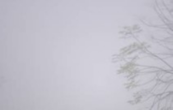 ਪੰਜਾਬ ’ਚ ਪਈ ਸੰਘਣੀ ਧੁੰਦ ਦਾ ਦ੍ਰਿਸ਼।