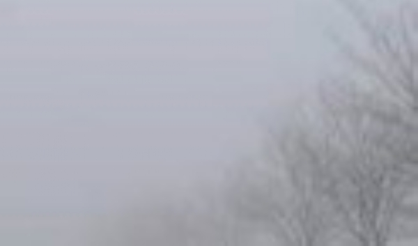 ਪੰਜਾਬ ’ਚ ਪਈ ਧੁੰਦ ਦਾ ਦ੍ਰਿ਼ਸ਼। ਪੰਜਾਬ ’ਚ ਪਈ ਧੁੰਦ ਦਾ ਦ੍ਰਿ਼ਸ਼।