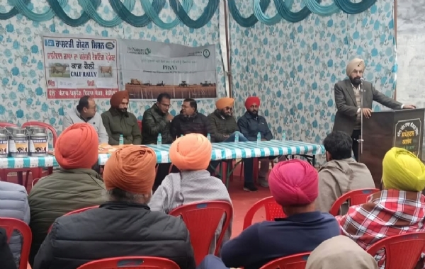 ਸਿਵਲ ਪਸ਼ੂ ਹਸਪਤਾਲ ਹਰੀਕੇ ਕਲਾਂ ਵਿਖੇ ਸਾਹੀਵਾਲ ਪੀ ਟੀ ਪ੍ਰੋਜੈਕਟ ਅਧੀਨ ਲਗਾਈ ਸਾਹੀਵਾਲ ਕਾਫ ਰੈਲੀ ਦਾ ਦ੍ਰਿਸ਼.