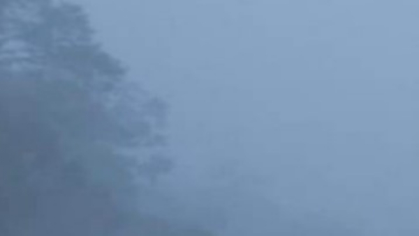 ਸੰਘਣੀ ਧੁੰਦ ਦਾ ਦ੍ਰਿਸ਼। ਸੰਘਣੀ ਧੁੰਦ ਦਾ ਦ੍ਰਿਸ਼।