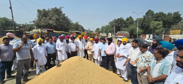ਮੰਡੀ ’ਚ ਫਸਲ ਦਾ ਜਾਇਜ਼ਾ ਲੈਂਦੇ ਹੋਏ ਅੰਮ੍ਰਿਤਸਰ ਦੱਖਣੀ ਦੇ ਵਿਧਾਇਕ ਡਾ. ਇੰਦਰਬੀਰ ਸਿੰਘ ਨਿੱਜਰ