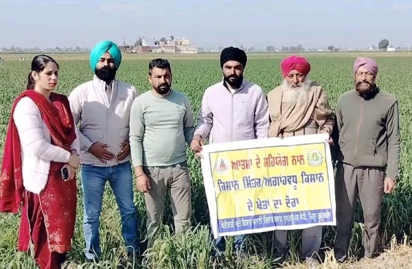 ਕਿਸਾਨਾਂ ਨੂੰ ਪੀਲੀ ਕੁੰਗੀ ਤੋਂ ਬਚਾਅ ਅਤੇ ਗਰਮ ਰੁੱਤ ਦੀਆਂ ਦਾਲਾਂ ਦੀ ਕਾਸ਼ਤ ਸਬੰਧੀ ਪ੍ਰੇਰਿਤ ਕਰਦੇ ਵਿਭਾਗ ਦੇ ਅਧਿਕਾਰੀ।