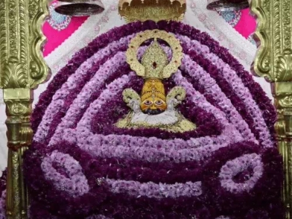 ਗੁਲਾਬੀ ਫੁੱਲਾਂ ਨਾਲ ਵਿਸ਼ੇਸ਼ ਸ਼ਿੰਗਾਰ ਗੁਲਾਬੀ ਫੁੱਲਾਂ ਨਾਲ ਵਿਸ਼ੇਸ਼ ਸ਼ਿੰਗਾਰ