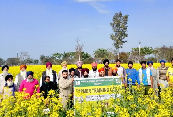 ਖਾਧ ਤੇਲ ਬੀਜ ਸਬੰਧੀ ਦੋ ਦਿਨਾਂ ਸਿਖਲਾਈ ਕੈਂਪ ਦਾ ਦ੍ਰਿਸ਼.