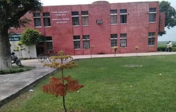 ਪ੍ਰਤੀਕਾਤਮਕ।