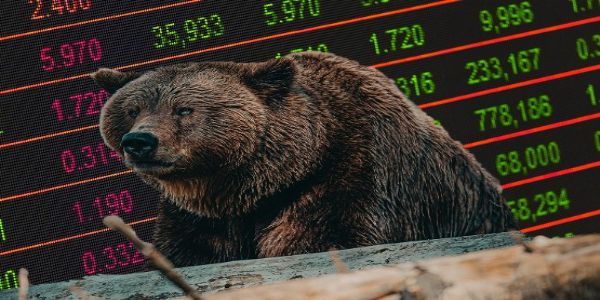 ਸ਼ੁਰੂਆਤੀ ਕਾਰੋਬਾਰ 