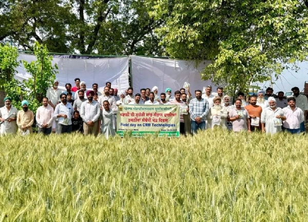 ਖੇਤ ਦਿਵਸ ’ਤੇ ਕਿਸਾਨਾਂ ਦੇ ਨਾਲ ਖੇਤੀਬਾੜੀ ਵਿਭਾਗ ਦੇ ਕਰਮਚਾਰੀ