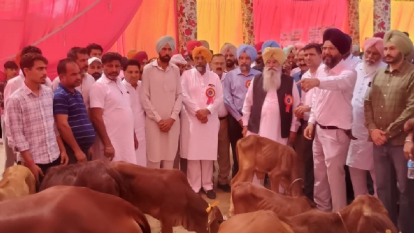 ਪਸ਼ੂ ਪਾਲਣ ਵਿਭਾਗ ਵੱਲੋਂ ਪਿੰਡ ਕਿੱਲਿਆਂ ਵਾਲੀ ਵਿਖੇ ਆਯੋਜਿਤ ਸਾਹੀਵਾਲ ਕਾਫ ਰੈਲੀ ’ਚ ਪਹੁੰਚੇ ਕੈਬਨਿਟ ਮੰਤਰੀ