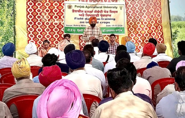 ਤੇਲ ਬੀਜ ਫਸਲਾਂ ਦੀ ਕਾਸ਼ਤ ਨੂੰ ਉਤਸ਼ਾਹਿਤ ਕਰਨ ਲਈ ਆਯੋਜਿਤ ਖੇਤ ਦਿਵਸ ਪ੍ਰੋਗਰਾਮ ’ਚ ਵਿਭਾਗ ਦੇ ਕਰਮਚਾਰੀ ਅਤੇ ਕਿਸਾਨ